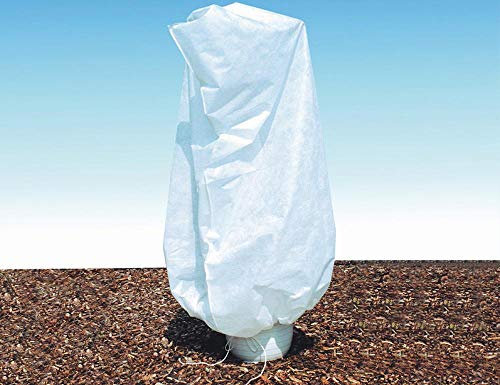 Siena Garden 678274 - Saco protector para plantas (tamaño XL)
