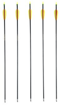 5 Fiberglas - Glasfiber Pfeile in 68cm