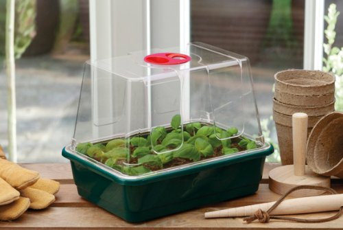 Garland Zimmergewächshaus High Dome - klein