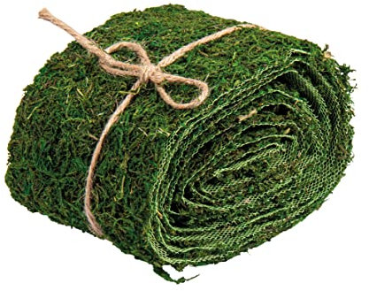 Rayher Moosband, grün, Rolle 2 m, Breite 10 cm, Naturmoos, Band zum Basteln und Dekorieren, 5531800