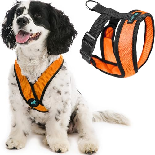 GOOBY Comfort X-huvud i sele – orange, medium – inget drag liten hundsele patenterad kvävfri X-ram – hundsele på språng för medelstora hundar inget drag eller små hundar för inomhus- och utomhusbruk | Patenterad kvävfri X-ram; säker passform i huvudet; lätt andningsbart nät; D-ring i bakmetall; maskintvättbar