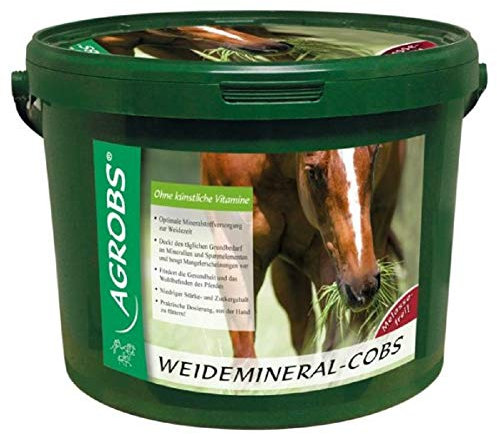 Agrobs Weidemineral-Cobs, 1er Pack (1 x 3000 g)
