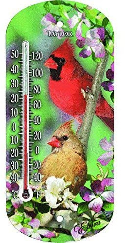 Taylor Bird Design Tube Thermometer Plastic