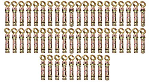Charles Watson Heavy Duty M12 Eye Bolt Shield Anchors, Pack of 50 | Integrated eye bolt allows secure attachment points for masonry, concrete, and brick anchors.