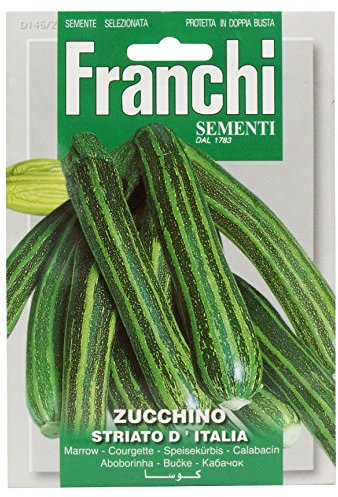 Franchi Courgette Striato D'Italia