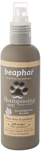 BEAPHAR – Spray Shampoing Sec Premium Ultra-Doux pour Chien – Extraits naturels d'Aloe Vera et de l'eau de Framboise – Fortifie et redonne de l'éclat au Poil – Prêt à l'emploi, sans rinçage – 200 ML