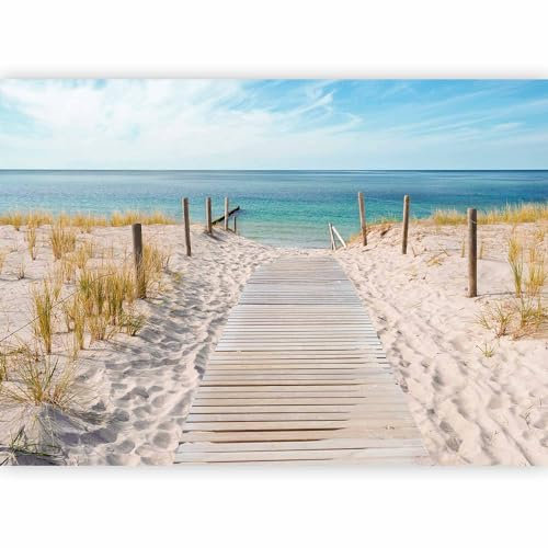 murando - Vlies Fototapete Strandweg 300x210 cm - Foto Tapete Schlafzimmer Wohnzimmer Moderne Vliestapete XXL Wandtapete Motivtapeten Bildtapete 3d Effekt Wand Dekoration - Meer Strand c-A-0054-a-b