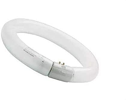 Sylvania luxline – Lampada luxline circolare fc32 W/840 T9 G10q