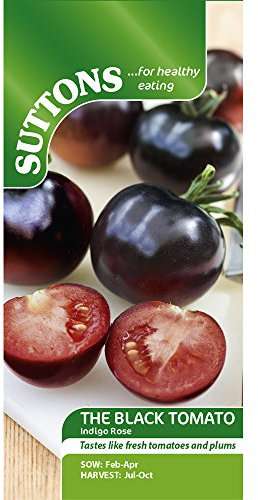 Suttons Tomato Indigo Rose Seeds Black Tomato Pack of 6 Seeds Per Packet
