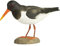 WILDLIFEGARDEN Wildlife Garden WG459 DecoBird Austernfischer - Handgeschnitzter Dekorative Vogel aus Holz - Große Europäische Vögel