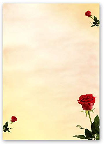 20 Sheets Motif Letter Paper! Baccara Roses DIN A4 - Flowers & Petals, Love & Wedding