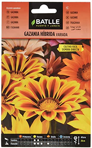 Semillas Batlle Gazania HIBRIDA Variada
