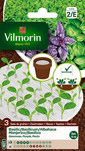 Vilmorin 3 Discos biodegradables Semillas de ALBAHACA (Cultivo fácil) 10 cm