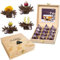 Creano Teelini Teeblumen im Tassenformat, Geschenkset in Teekiste aus Holz, 12 ErblühTeelini in 4 Sorten | Schwarzer Tee