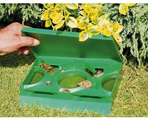 Garland GAL13ST Slug X Trap, Green, 25x20x10 cm