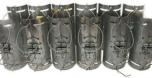 Defenders STV152M Mole Tunnel Trap, Traditional, Humane, Two-Way Trap for Mole Control, Suitable for Use In Frosted Ground and Wet Weather (Pack of 12), Silver, 38x15x14 cm
