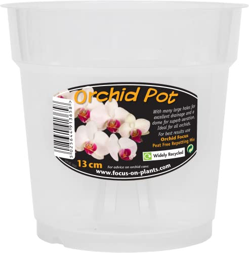 Growth Technology Ltd Clear Orchid Pot 13cm, Green
