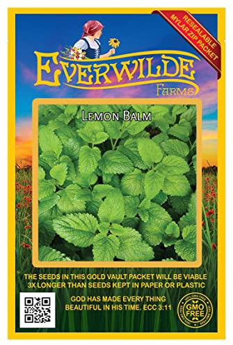 Everwilde Farms - 2000 Lemon Balm Herb Seeds - Gold Vault Jumbo Seed Packet