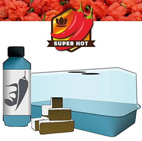 Idroponica Kit Peperoncino (Miniserra+12Cubi+Chilli Focus)