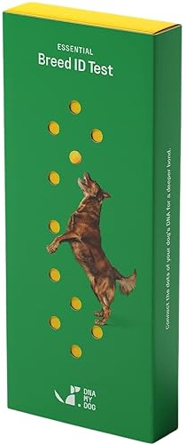 DNA My Dog Test d'identification de Race Essentielle | Précision de 99% | Analyse ADN de Plus de 360 Races de Chiens | Exécution la Plus Rapide en Moins de 3 semaines | Dernière Technologie |