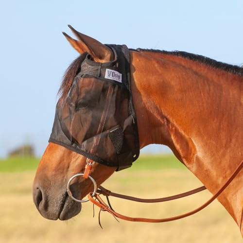 Cashel Quiet Ride Horse Fly Mask No Ears or Nose, Standard, Warmblood, Black