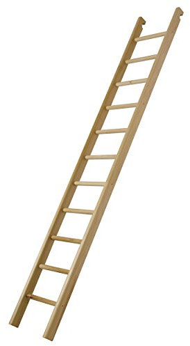 Turnleiter für Sprossenwand Leiter Klettern Turnen Spielen Schule, 240x35 cm