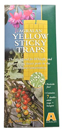 Agralan Yellow Sticky Fly Traps | Double Sided Sticky Fly Paper Catchers | Control of Fungus Gnats, Whiteflies, Aphids, Leafminers etc |