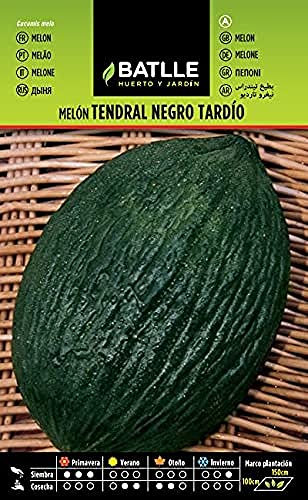 Semillas Batlle Melon TENDRAL NEGRO TARDIO