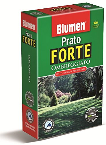 Blumen Prato OMBREGGIATO 1 kg