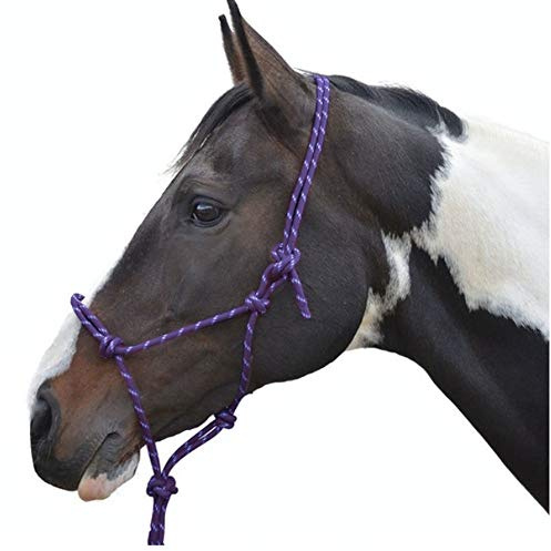 Hy Rope Halter Navy Cob/Full