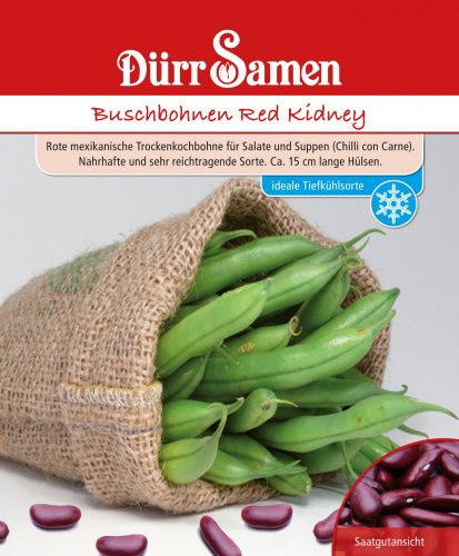Dürr-Samen - Buschbohnen Red Kidney Saatgut