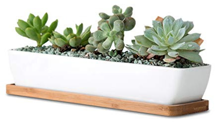 WISH HALLY WOOD 11inch Long Rectangle White Ceramic Succulent Planter Pots/Mini Flower Plant Containers with Bamboo Saucers. Product Size:11x2.36x1.77inch,not Include The Plant. (Long Rectangle)