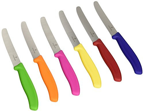 Victorinox Swiss Stainless Steel 6 Piece Round 4.5 Inch Serrated Steak Knife Set with Green, Orange, Pink, Yellow, Red, and Blue Fibrox Handles