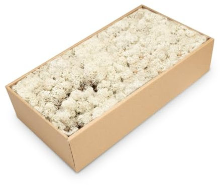 NaDeco Islandmoos Natur, konserviert, verpackt im Karton mit ca. 500g | Moos zum Basteln und Dekoration | Moosbild selber Machen | Rentier Moos | Rendier Moos | Deko Moos | Bastel Moos | Dekomoos