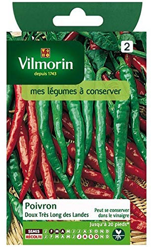 Vilmorin - Sachet graines Poivron doux très long des landes