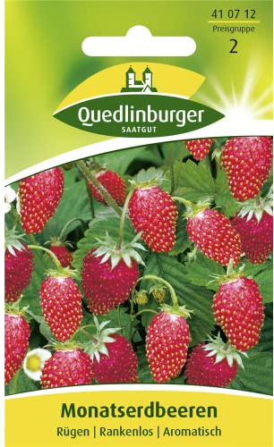 Erdbeeren, Monatserdbeeren Rügen, Fragaria vesca, ca. 100 Samen
