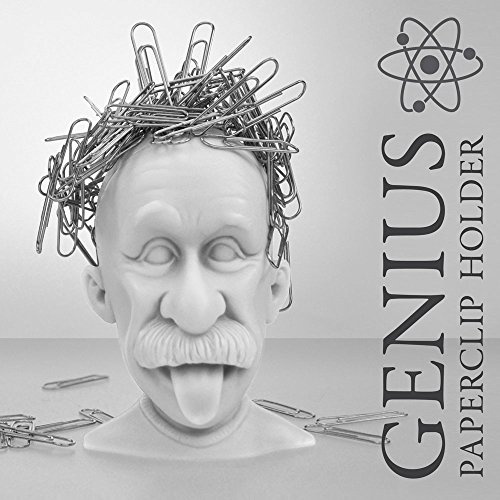 Genius Magnetic Paperclip Holder. Einstein Head Paper Clip Holder - Create wacky paperclip hairstyles. Great Science Gift