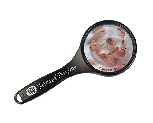 Fischfutter Lebendfutter Daphnia 50x45ml = 2,25L = 1Pack