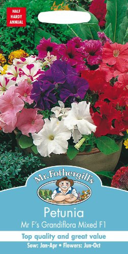 Mr Fothergills - Pictorial Packet - Flower - Petunia Mr F's Grandiflora Mix F1-120 Seeds