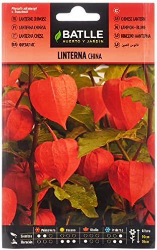 Semillas Batlle Linterna CHINA