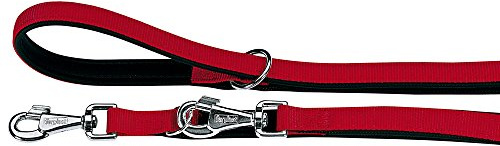 Ferplast Correa para Perros Daytona, Correa Extensible para Perros de Tamaño Mediano, 200 cm, Correa de Adiestramiento, con Cómoda Asa Acolchada y Mosquetón de Metal. Rojo