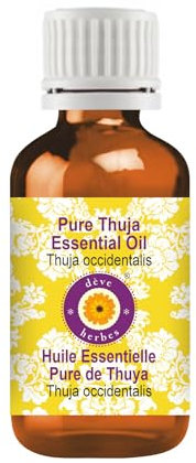 Deve Herbes Pure Thuja Essential Oil (Thuja occidentalis) Non-Sticky | Non-Greasy | Strong Woody Aroma | for Aromatherapy, Massage, Diffuser & Blends 30ml