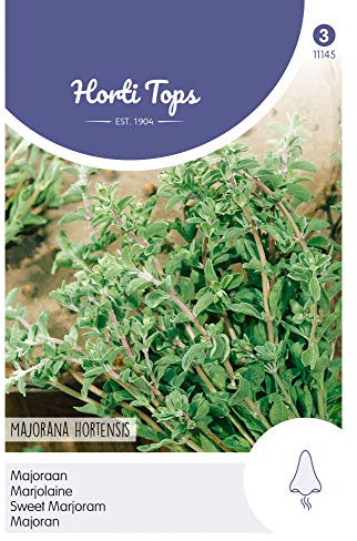 Hortitops 11145 Marjolaine annuelle (graines de marjolaine)