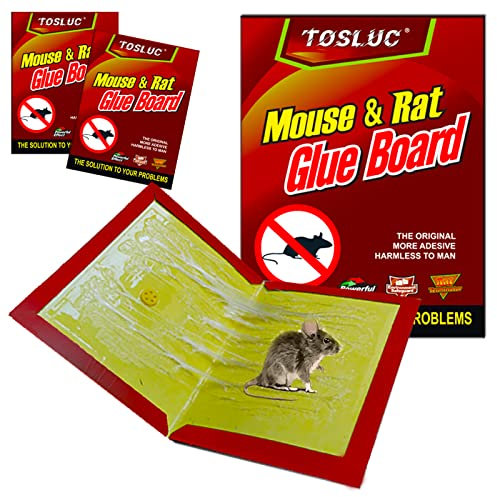 Piège à Souris et Rats Très Puissant, Attrape Les Petites et Grandes Souris - Nouvelle Formule 2024-2 pièges adhésifs avec Colle à Souris Super adhésive, sans Poison