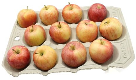 Gardening Naturally Apple Tray Crop Storage Apples Biodegradable (20)
