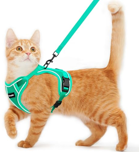 Cat Harness and Leash for Walking Escape Proof Soft Adjustable Cat Leash | Breathable Comfortable Vest Easy to Wear Kitten Harness for Outdoor Travel (Emerald, M (13-18lb))