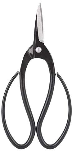 Ciseaux pour outils de professionnels de bonsaï de jardinage de racine de jardinage d'acier inoxydable d'acier inoxydable pour des fleurs et l'herbe