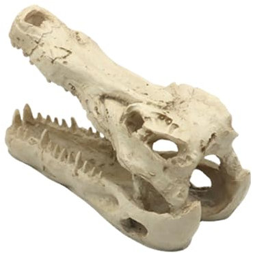 RKJRTK Aquarien, Kunsthandwerk, künstliche Alligatoren, Totenkopf-Dekorationen, Aquarien, Zubehör, Meereskunst-Dekorationen