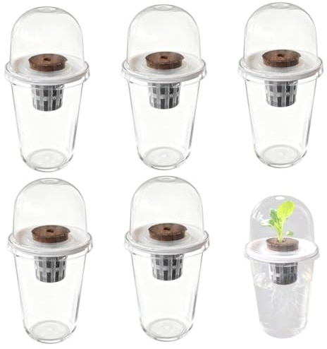 Hbbgdiy Kit de système de Culture hydroponique, lot 5 gobelets hydroponiques en Plastique Transparent, kit démarrage Germination Plantes antidérapant pour la Propagation des semis Jardin