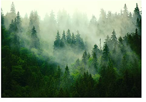 WallArena - Vlies Fototapete Wald im Nebel Bäume Panorama Natur 254x184 cm - Fototapeten - Tapeten - für Wohnzimmer Schlafzimmer - Vliestapete Wandtapete Tapete 3D Effekt- inkl. Kleister